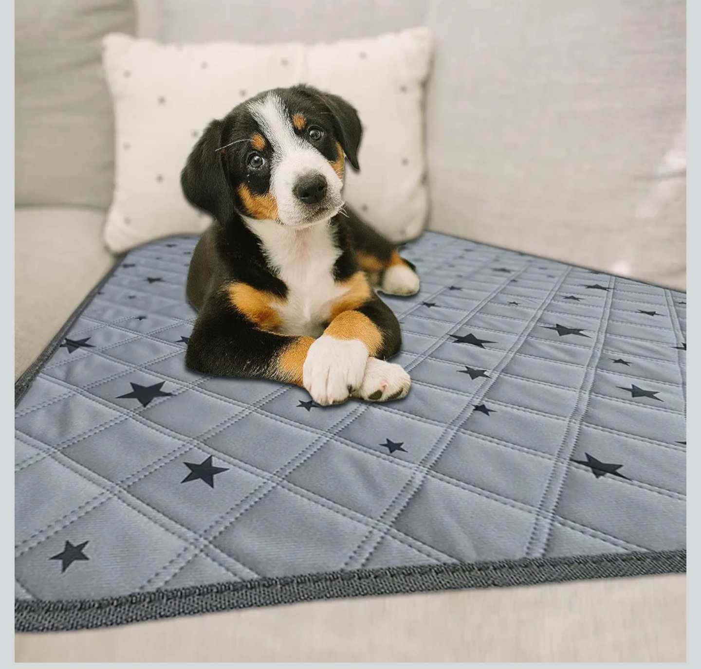 Reusable Washable Pee Pad for Dogs Large Absorbent Pet Pee Pad New